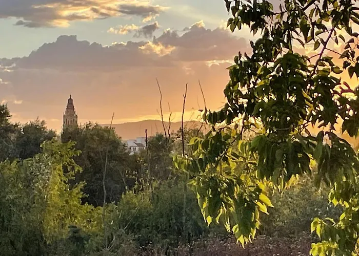 Estudio A 400 Metros Ribera Free Parking